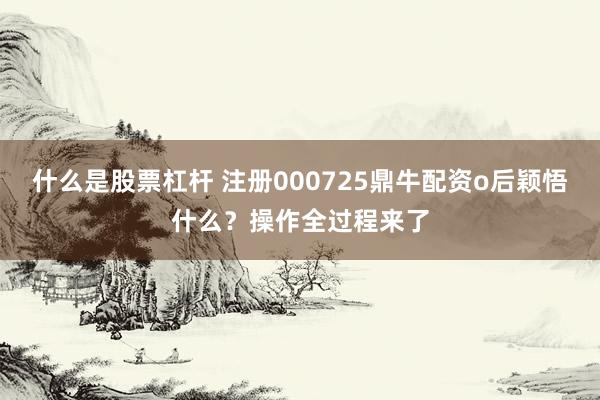 什么是股票杠杆 注册000725鼎牛配资o后颖悟什么？操作全过程来了